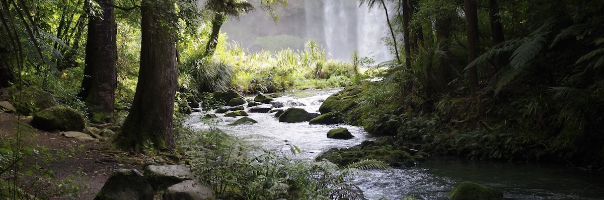 river in the forest, hurt to hope, steve wormer, river of hope book