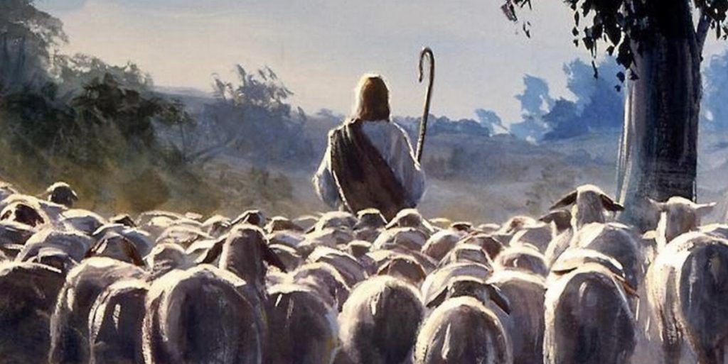 Jesus leading sheep, follow Christ, stop comparing yourself to others