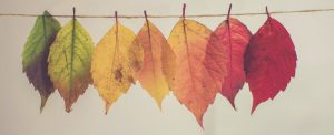 fall leaves hanging on a string, when life gets hard