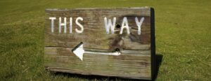 Wooden sign reading 'THIS WAY' with a left-pointing arrow on a grassy field.